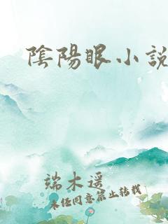 阴阳眼小说