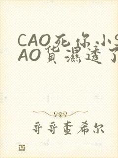 CAO死你小SAO货湿透了学长