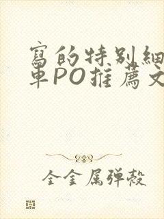 写的特别细的开车PO推荐文多人