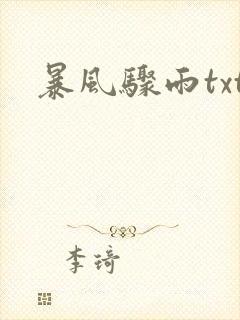 暴风骤雨txt