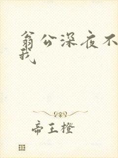 翁公深夜不停要我