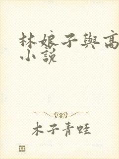 林娘子与高衙内小说