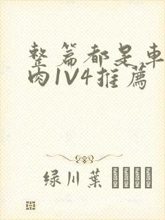 整篇都是车的多肉1V4推荐