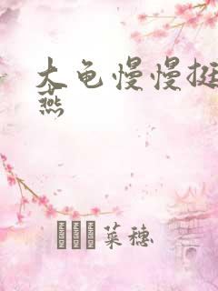 大龟慢慢挺进张燕