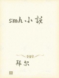 smh小说