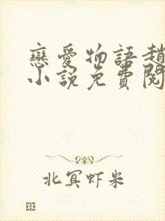 恋爱物语赵菲菲小说免费阅读全文