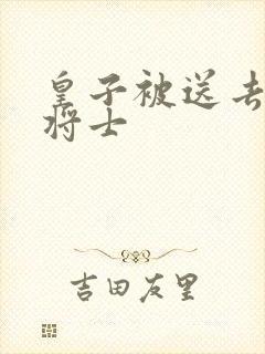 皇子被送去犒劳将士