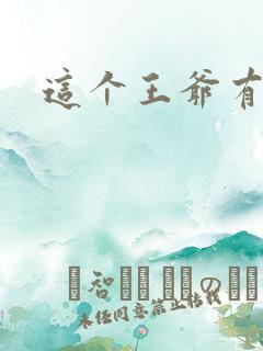 这个王爷有点坏