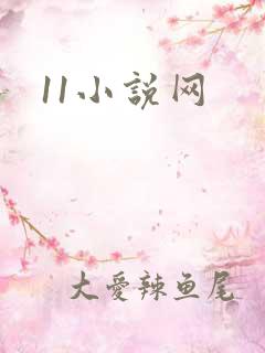 11小说网