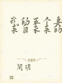 我的五个妻子和来自未来的孩子