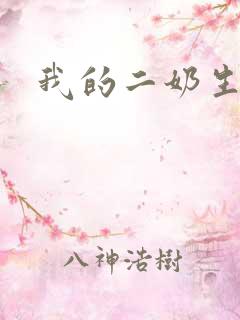我的二奶生涯