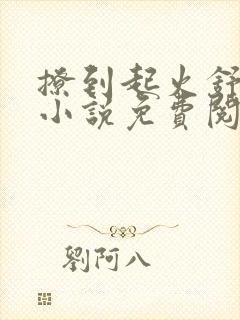 撩到起火舒漾的小说免费阅读全文