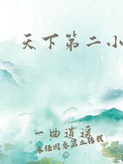 天下第二小说