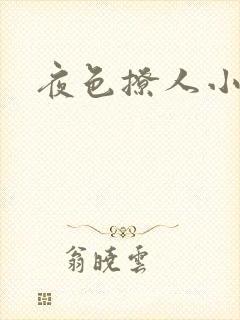 夜色撩人小说