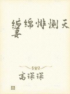 缠绵悱恻天价前妻