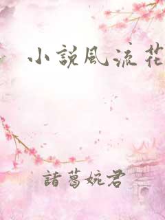 小说风流花少