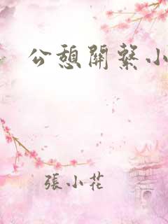 公憩关系小说