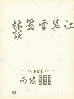 林墨雪慕江行小说