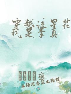 穿越流星花园之我是李真