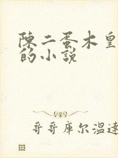 陈二蛋木皇真经的小说
