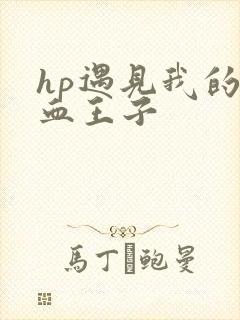 hp遇见我的混血王子