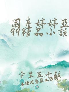 国产婷婷亚洲999精品小说