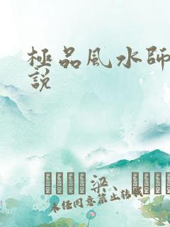 极品风水师 小说