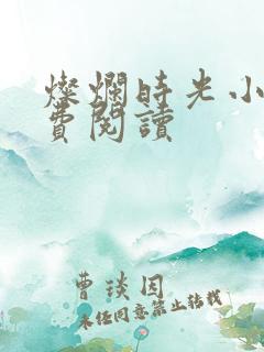 灿烂时光小说免费阅读