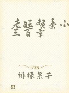 老旺超秦小雨第三百章