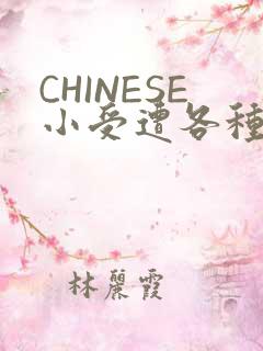 CHINESE小受遭各种打桩