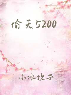 偷天5200