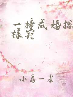 一撞成婚总裁花样宠
