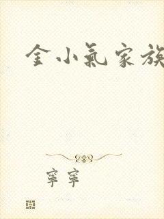 金小气家族小说