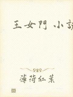 玉女门 小说