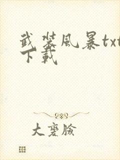 武装风暴txt下载