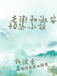 老卫和淑容1-40集小说