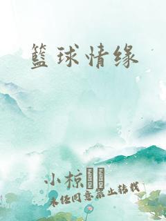 篮球情缘
