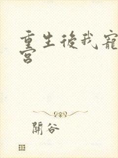 重生后我宠冠东宫