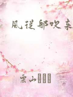 风从那吹来小说
