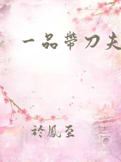 一品带刀夫人