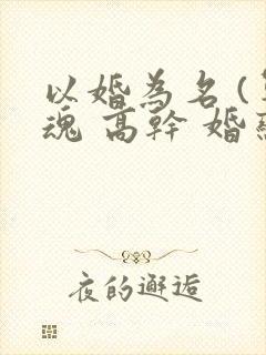 以婚为名 (军魂 高干 婚恋)