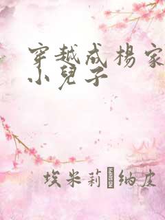 穿越成杨家将最小儿子