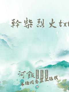 干柴烈火txt