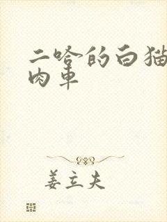 二哈的白猫师尊肉车