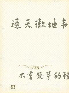 通天彻地韦小宝