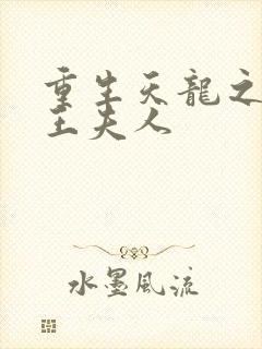 重生天龙之推倒王夫人