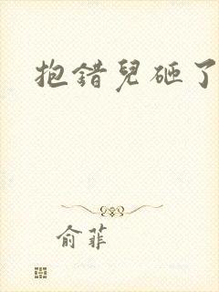 抱错儿砸了