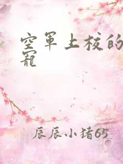 空军上校的邪魅宠