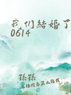 我们结婚了130614