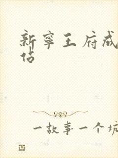 新宁王府成人网站